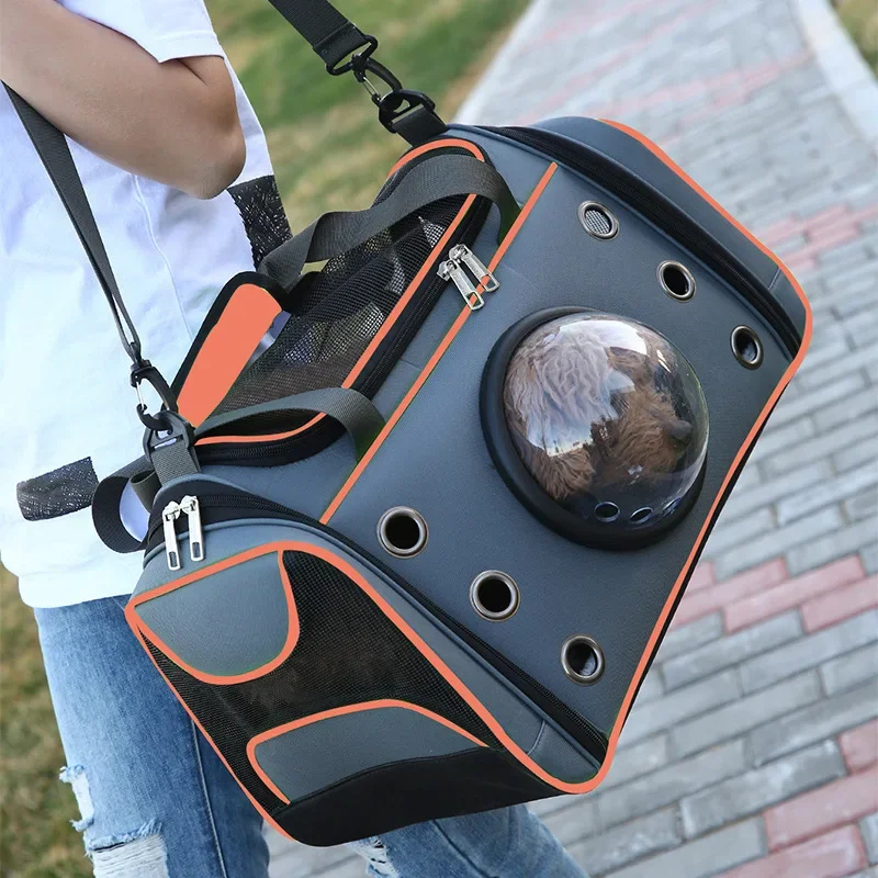 접이식 애완동물 캐리어 가방 단색 통기성 공간 백팩 싱 - Foldable Backpack Small 리뷰 및 가격